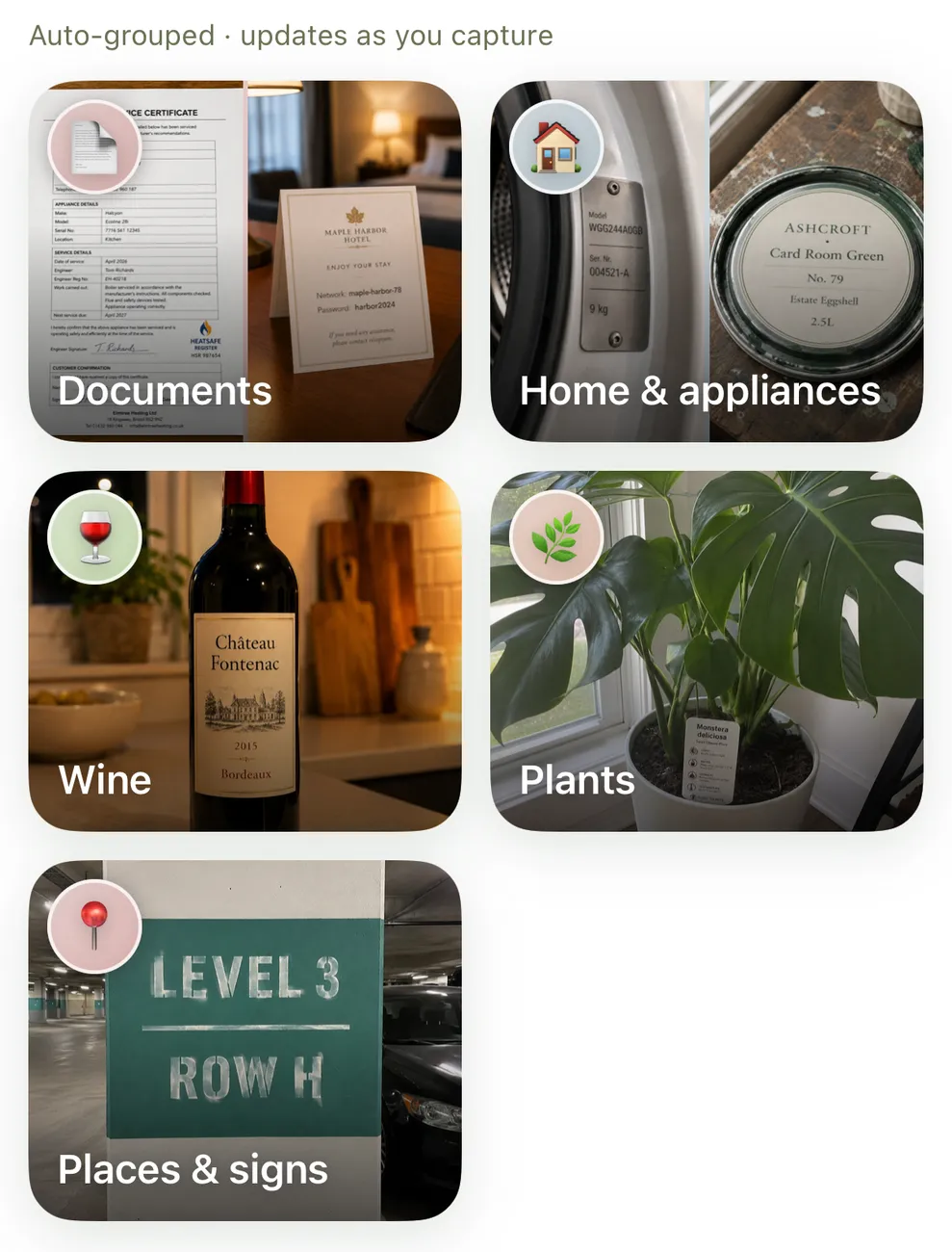 Collections in Keeplea: Documents, Home and appliances, Wine, Plants, and Places and signs, under the line 'Auto-grouped, updates as you capture'